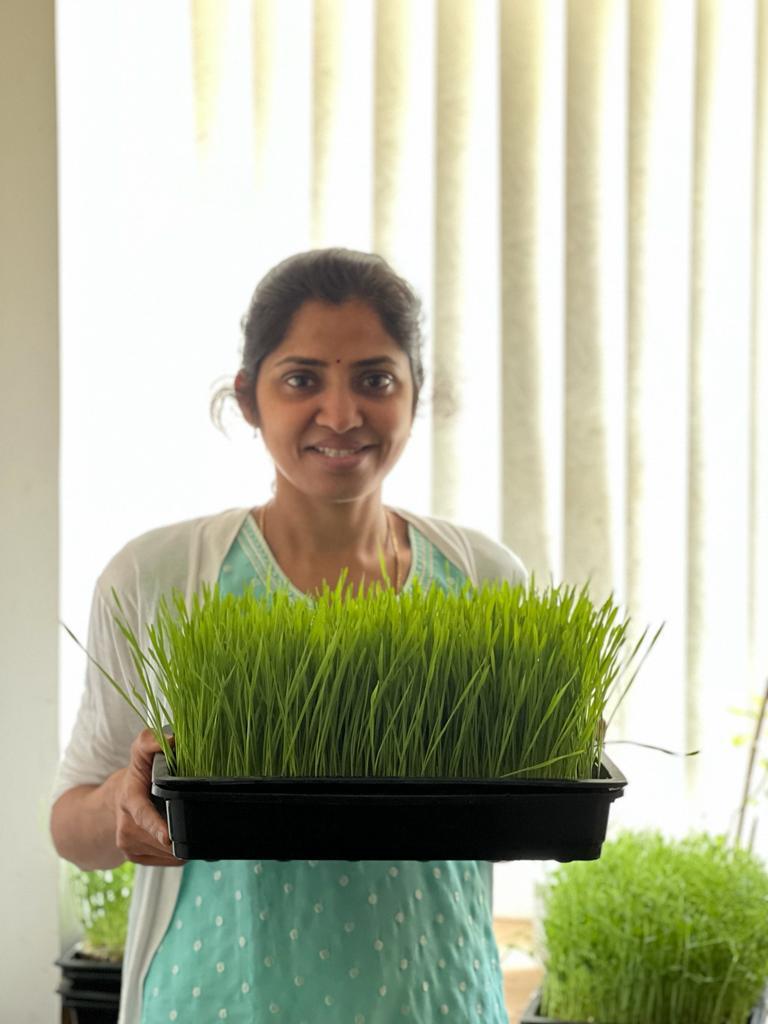 Jayanthi Bommana, 2022